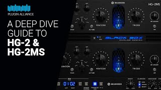Celebrity A Deep Dive to HG-2 & HG-2MS by Plugin Alliance - Guide tutorial Net Worth