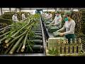 From Raw Bamboo to Premium Fragrance: The Full Manufacturing Process