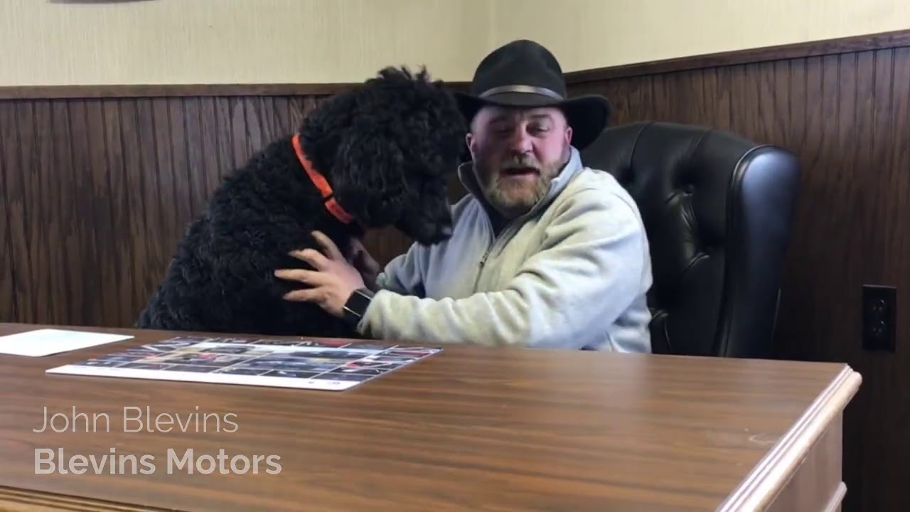Blevins Motors, Potsdam NY- Lifetime Powertrain Warranty
