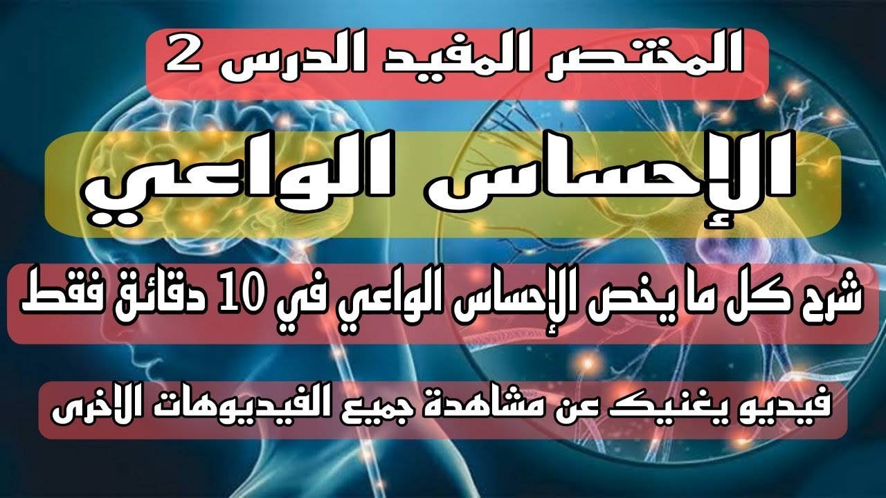 المختصر المفيد في الإتصال العصبي ( درس الإحساس الواعي )