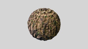 Tree Trunk | Blender 3D | Procedural Nodes