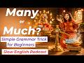 How to Use Many vs. Much | English Grammar Trick for Beginners