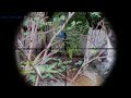 Airsoft Gameplay (2) - Custom M4/SSR4 HPA (Polarstar F2)
