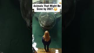 😢Animals That Could Go Extinct by 2027 ...!!