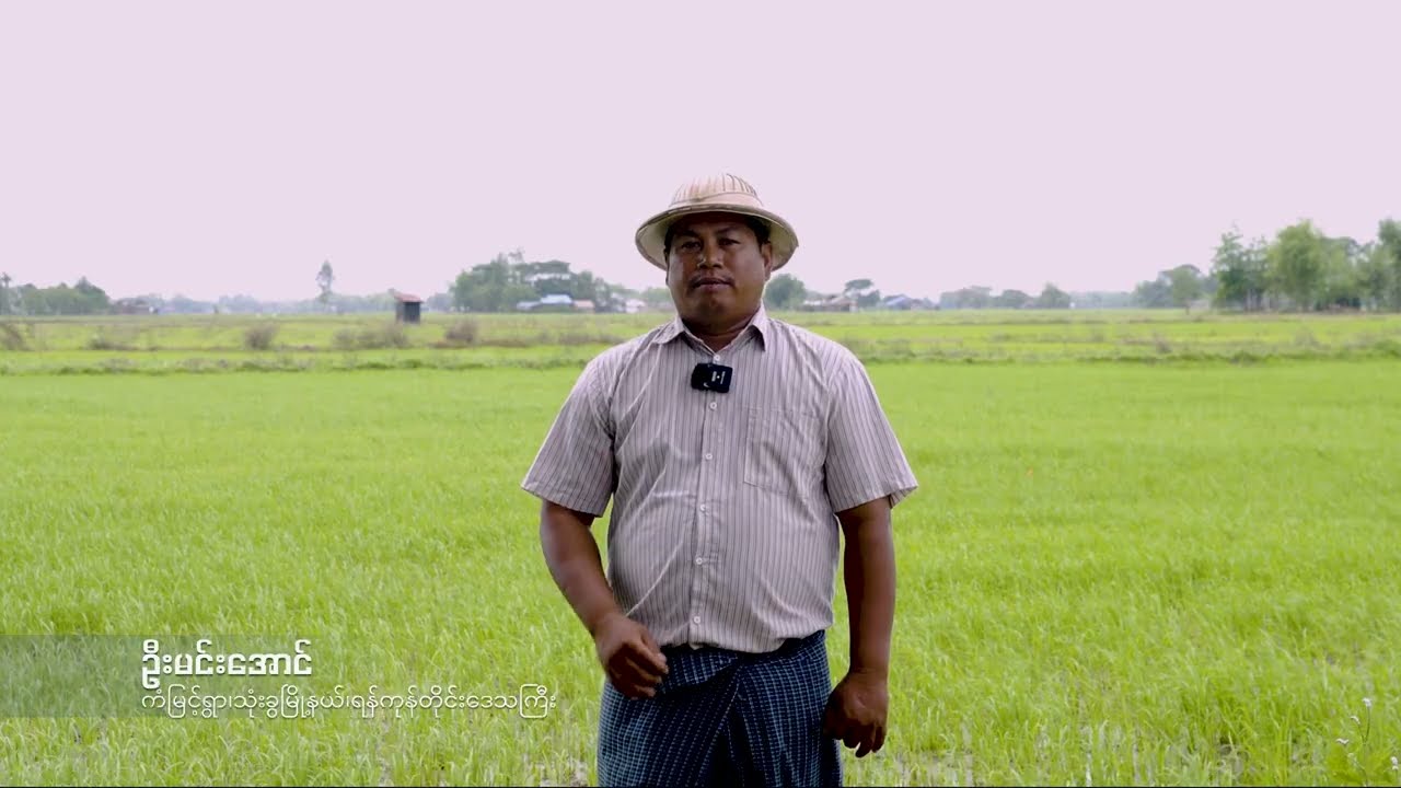 တောင်သူ့အသံတောင်သူ့ထံသို့ (