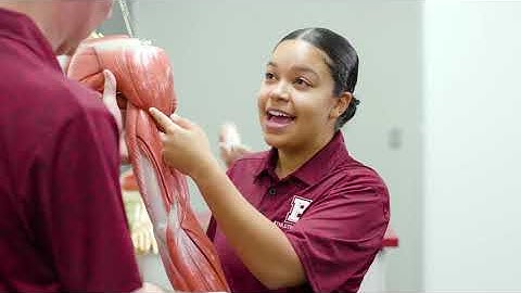 Master of Science in Athletic Training Overview