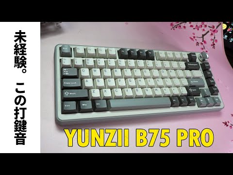 聞いたこと無い打鍵音】YUNZII B75 PRO レビュー 【ハイエンド