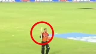 David Warner Last Ipl Match 2019 Hyderabad Vs Punjab