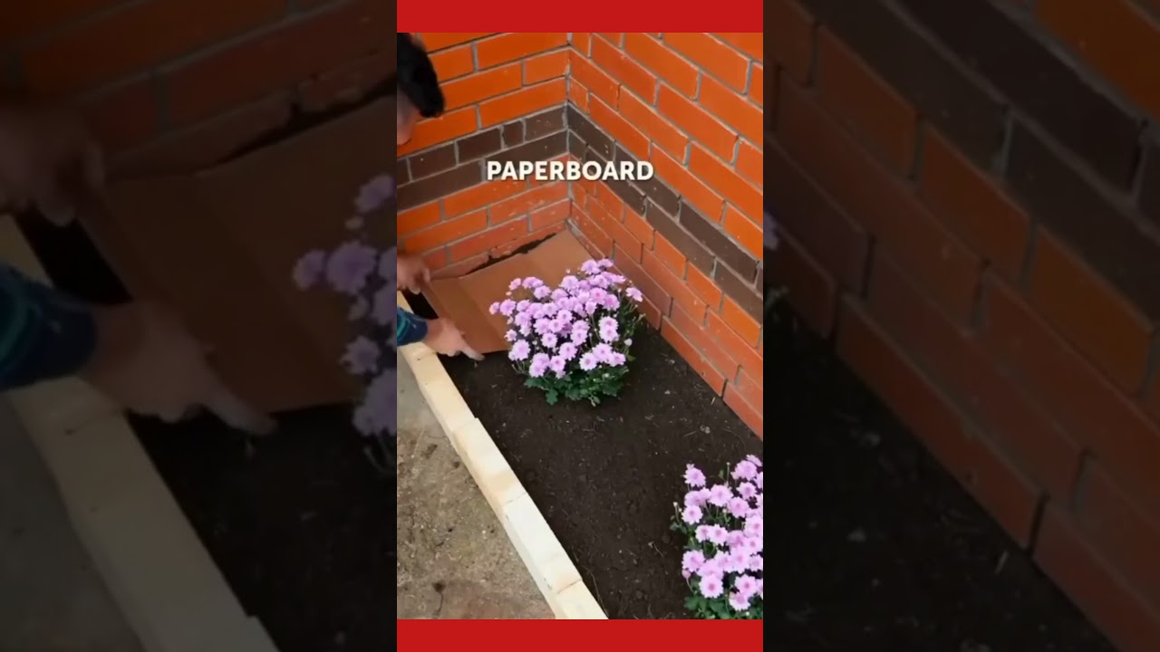 No more WEEDS in your garden