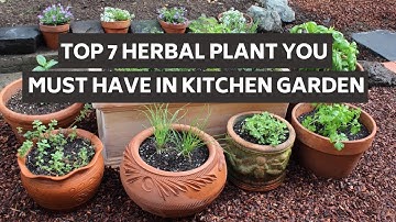 Top 7 Herbal Plant you must have in Kitchen Garden