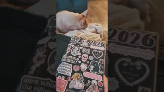 Sterling Ink B5 Notebook March 12-15, 2026 Daily Pages #bulletjournaling #sterlingink #b5notebook
