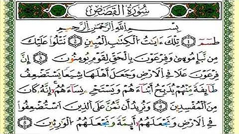 سورة القصص//لفضيلة الشيخ العيون الكوشي