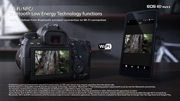 ►V7◄  Official Canon EOS 6D Mark II Digital Camera Intro