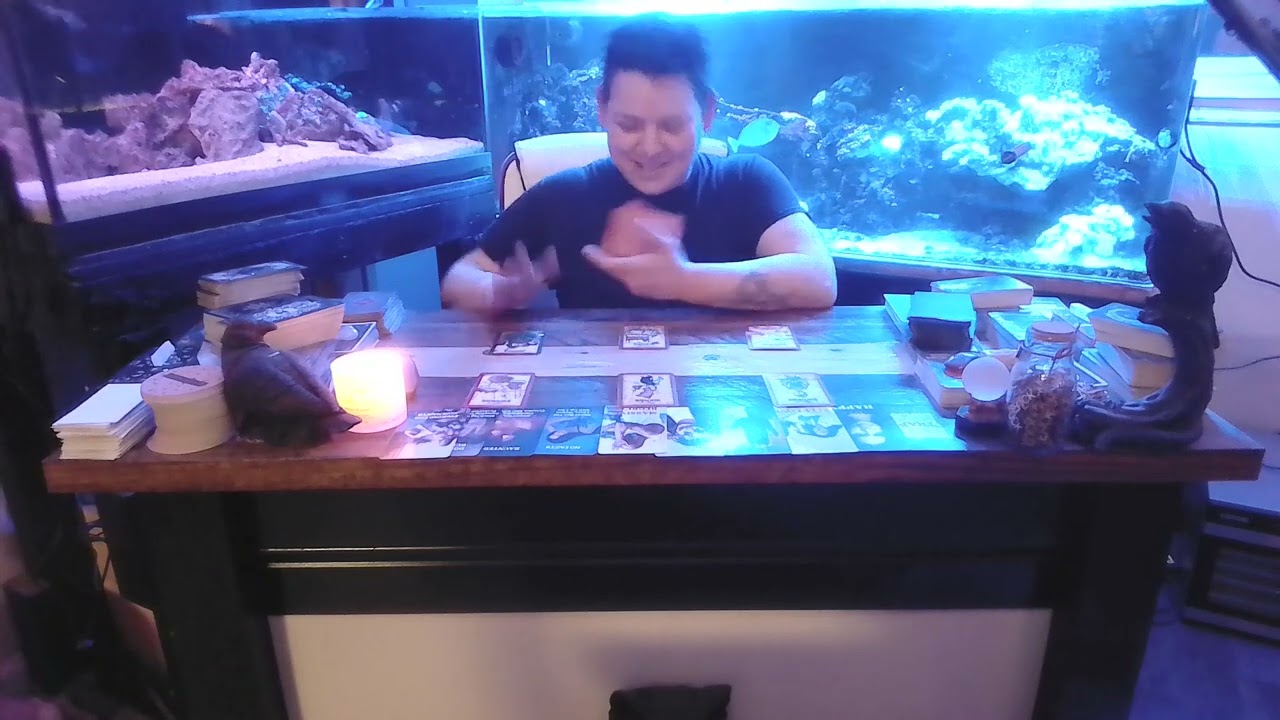 Sagittarius LIES BEING EXPOSED IN A BIG BACKFIRE!! #sagittarius #snake #new #tea