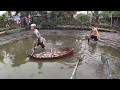 Electric Fishing | FISH HARVESTING 04132020 #2