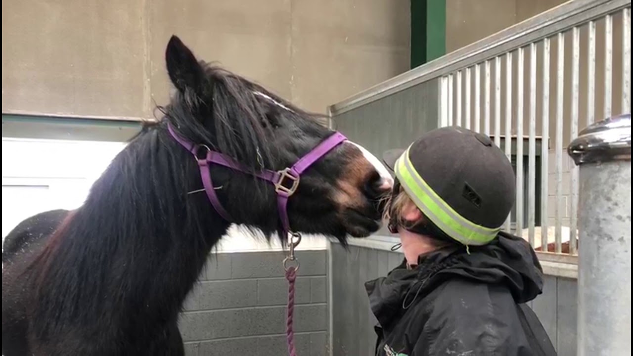 Will you be My “Redwings” Valentine? ❤