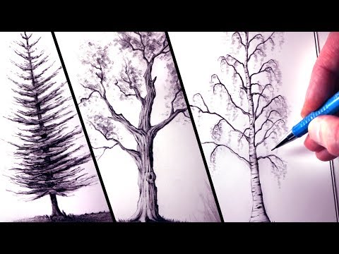 How To Draw Trees