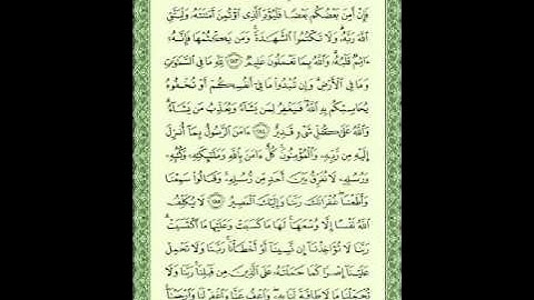 أواخر سوره البقرة - الشيخ أبو مارية أحمد بن فتحي