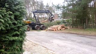 Bomen vellen(1)