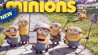 Minions Full Animated Short Film Compilation Cartoon Video 2016