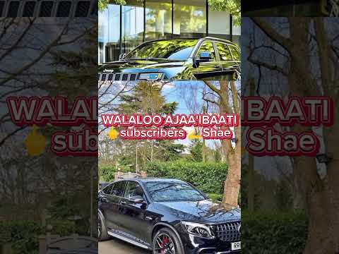 WALALOO AJAA IBA HAARAAWAA NEW AMEZING POEM Walaleessaa Lammii Mulugeetaatiin