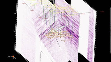 Three dimensional reflection seismic dataset