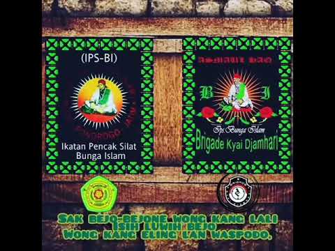 Quotes Ips Bunga Islam Ponorogo || Astagfirullah - YouTube