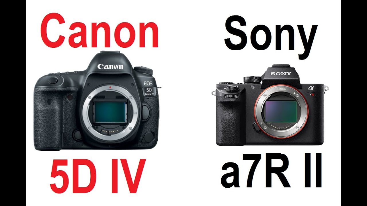Canon EOS 5D Mark IV vs Sony a7R II (ILCE7RM2) YouTube