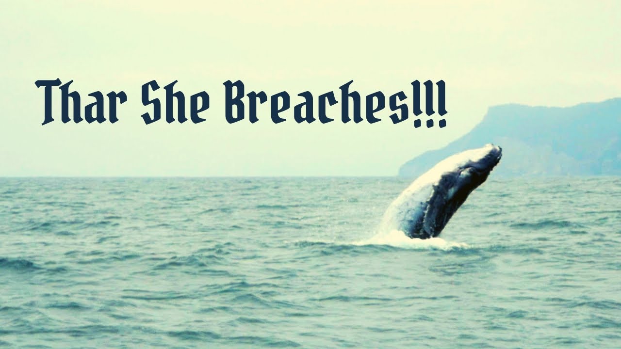 Whale Watching Puerto Lopez Ecuador: We Saw Humpback Whales!!! (Part 3)