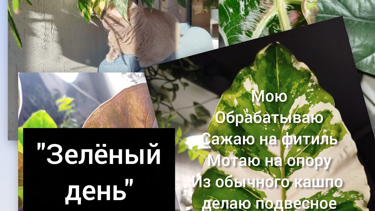 НОВАЯ РУБРИКА 