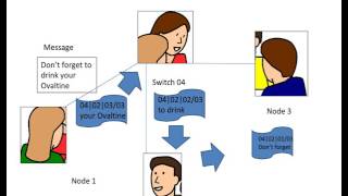 Star Networking Example Wealth