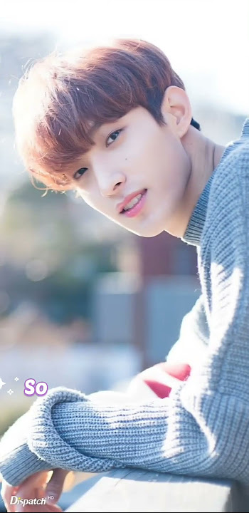 DK's part in Fallin' Flower #svt #dk