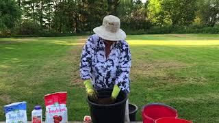 Planting Peppers in Containers