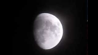 Spring Peeper Moon