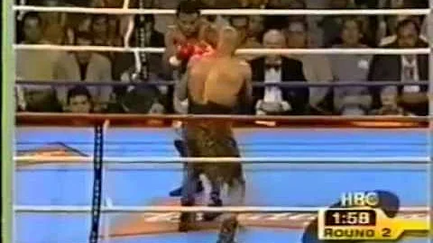 Shane Mosley vs Adrian Stone