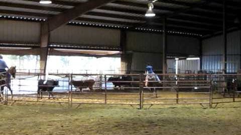 Eerste training ranch sorting