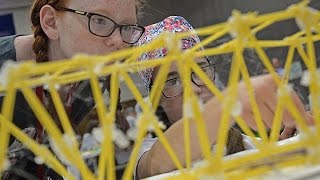 Spaghetti Bridge Competition