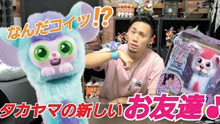 【お子様向け動画？】新しいお友達チャッティーペッツを紹介します