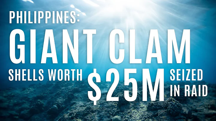 Philippines: Giant clam shells worth $25m seized in raid