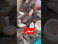 تمن السمان والدجاج لبرادوا جد مناسب في سوق الأربعاء عين شكاك لمشاهدة الشريط زورو صفحتنا