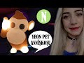 🐒KONUŞAN PETİMİ IŞIKLI PET YAPTIM 😱!!  Roblox Adopt Me Neon Monkey