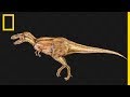 Tout comprendre sur  lvolution des dinosaures