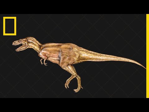 Vidéo: Comment s'appelle l'étude des dinosaures et des fossiles ?