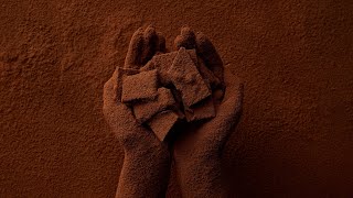 5 Health Benefits of Cocoa Powder