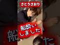 【悲報】おがさわら丸でゲロ酔いの悲劇...#さとうさおり #小池百合子 #都民ファーストの会 #都議会議員