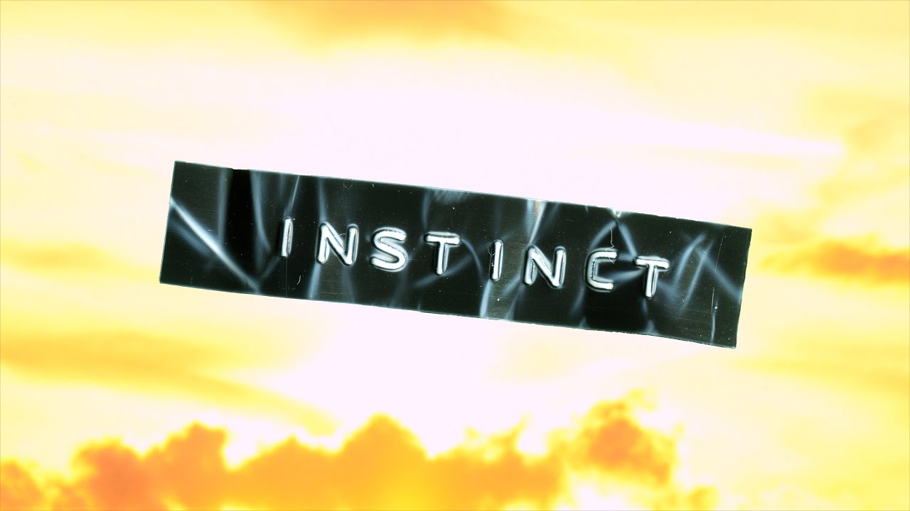 INSTINCT
