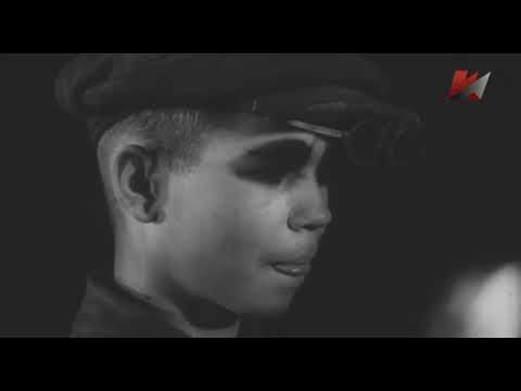Профессионально техническое образование avi