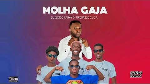 MOLHA GAJA - Dj Godo Faray x Tropa Do Cuca