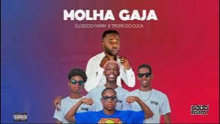 MOLHA GAJA - Dj Godo Faray x Tropa Do Cuca