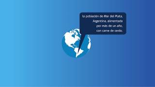 Juntos, Logramos Disminuir La Conversión Alimenticia En Cerdos